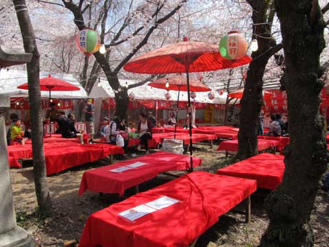 平野神社3.jpg