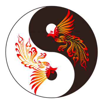 鳳凰4