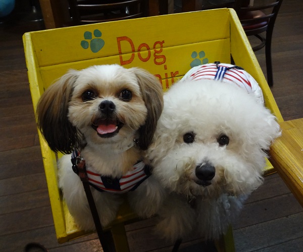 DSC00309.jpgクエスチョン.jpg