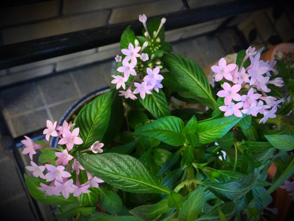 rblog-20151025172217-02.jpg