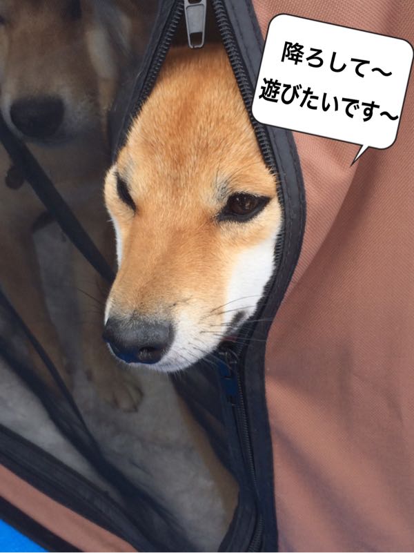 rblog-20161115015953-05.jpg