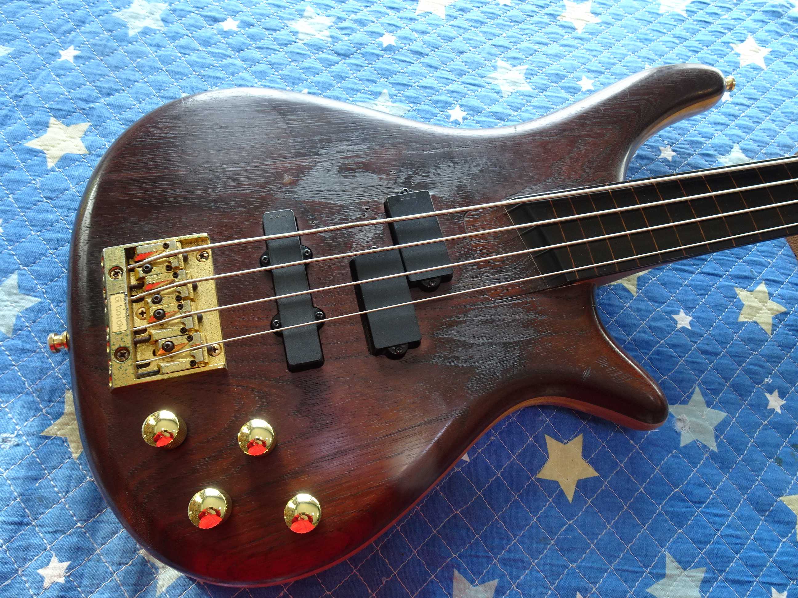 SGC NANYO Bass Collection 5弦ベース - 弦楽器、ギター