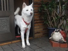 DSCF6444.JPG