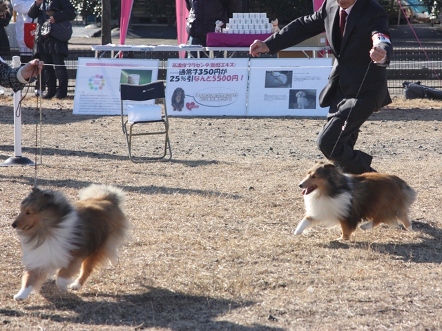 IMG_0498 - コピー.JPG