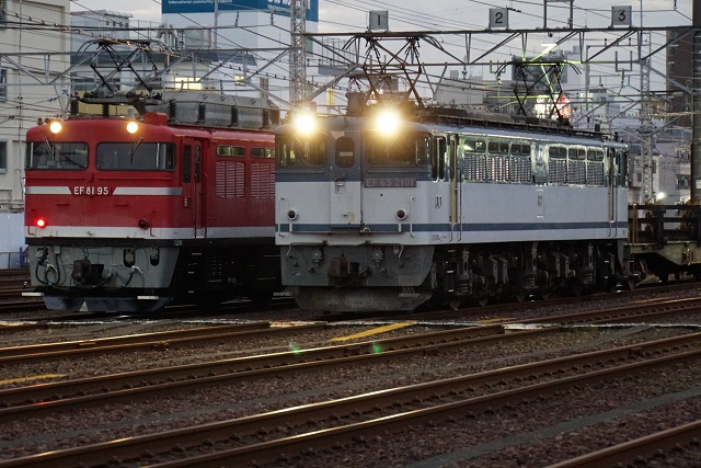EF66 30牽引 貨物 & EF81 95牽引 品川チキ工臨3