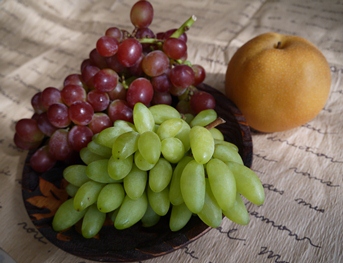 P1000020.jpg