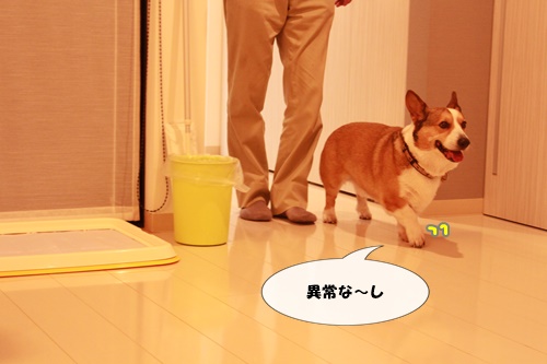 IMG010922.JPG