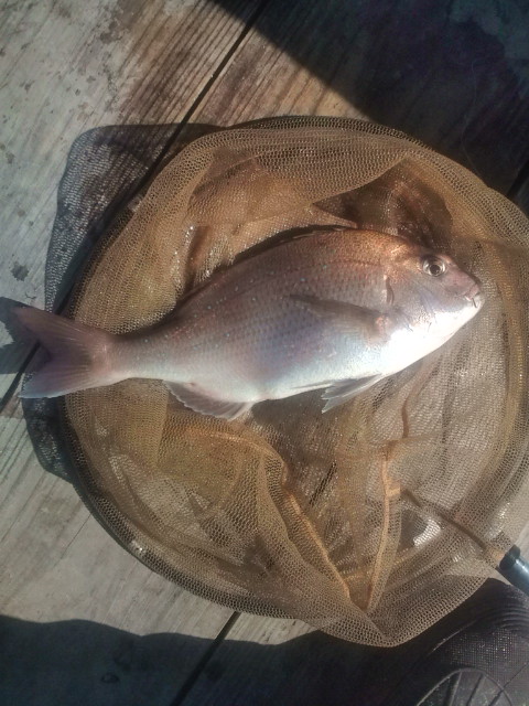 20120204124528.jpg
