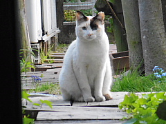 conv0704.JPG