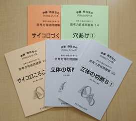 買って良かった ピグマリオン 思考力育成問題集セット 双子観察日記 楽天ブログ