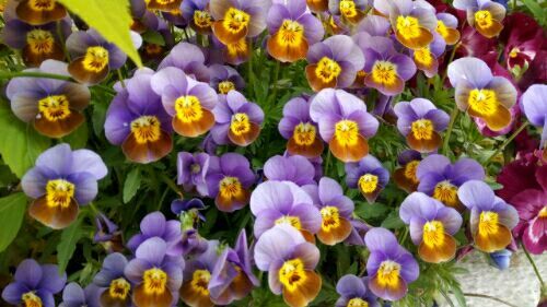 rblog-20180407095417-02.jpg
