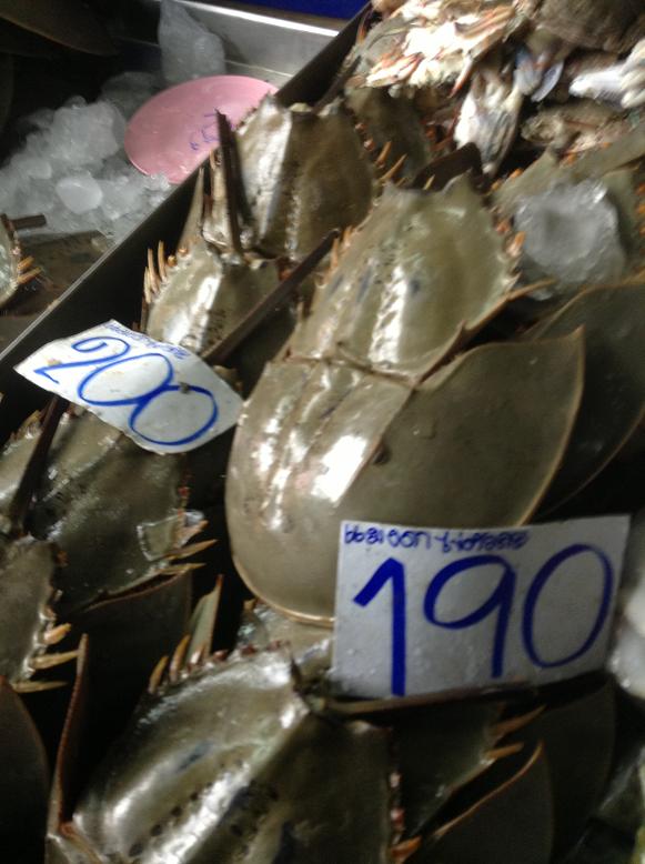 paknam 2