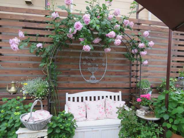 ヽ(^o^)丿満開に近づく庭の薔薇達＆バラに囲まれるベンチができ