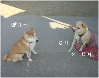 0127朝4.jpg