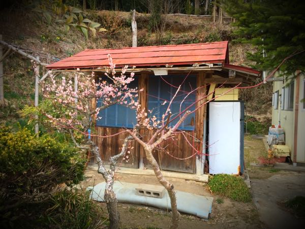 rblog-20160327164422-02.jpg