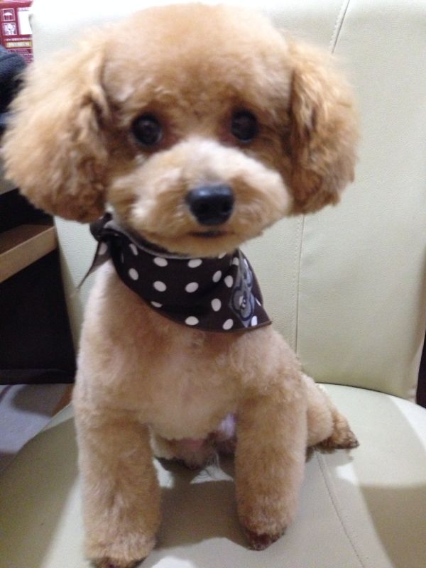 rblog-20140617164039-02.jpg