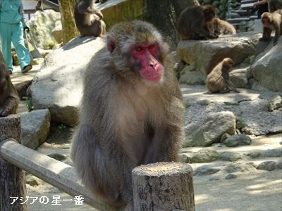 20160514 大分市　由布院13