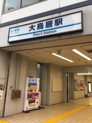 18 2 11 たまリバー50キロ いっちゃんのあちこち走行記 旧北京駐在記2 楽天ブログ