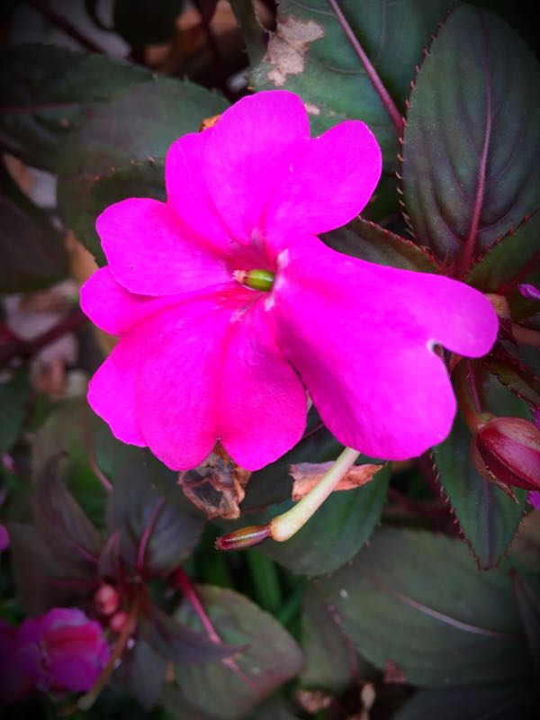 rblog-20151029141004-01.jpg