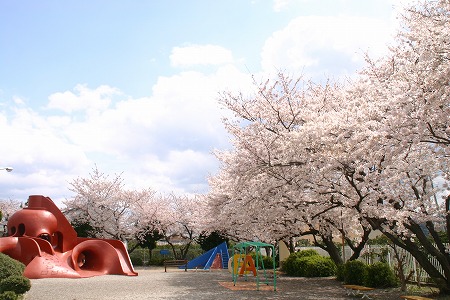 s-須谷公園.jpg