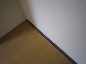 壁際の隙間から畳の縁が見える