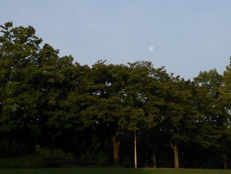 DSC_1150.JPG