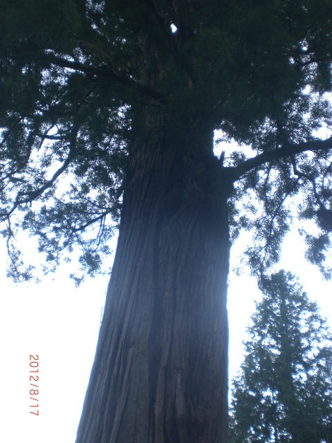 PICT0026.JPG