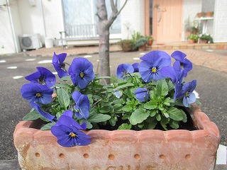 IMG_6383ss.jpg