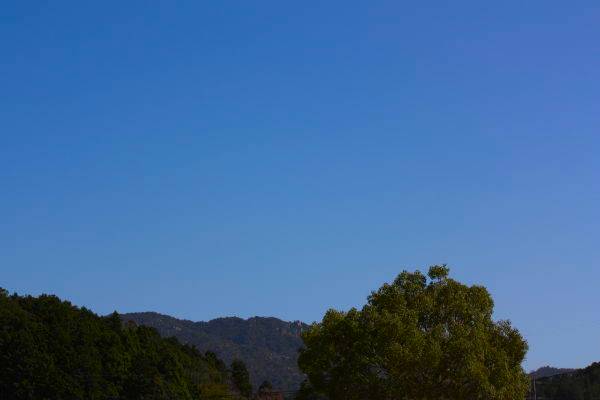 20140927d.JPG