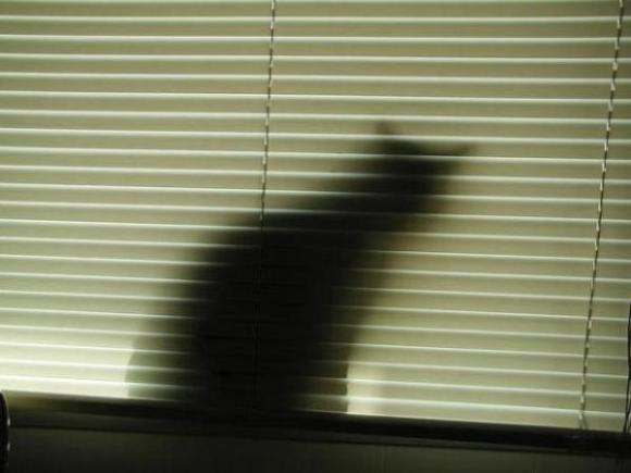 画像はイメージです