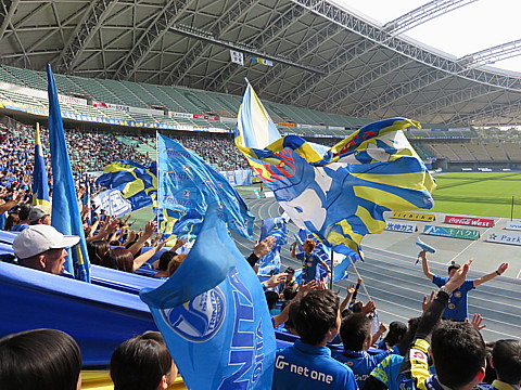 IMG_8489.jpg