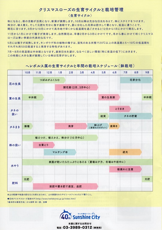 クリスマスローズの世界展