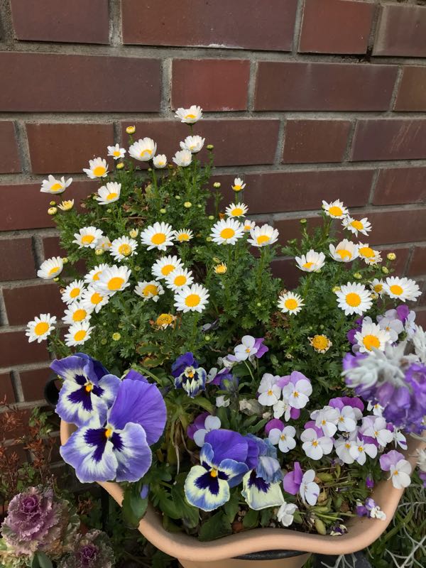 rblog-20190324174614-05.jpg