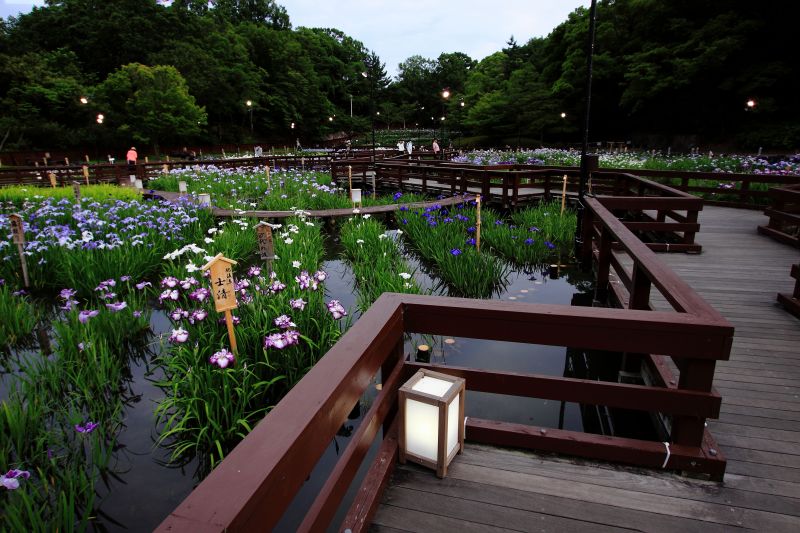 菖蒲園_002.jpg