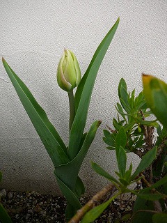 P1270778ss.jpg