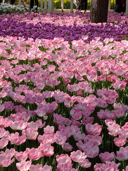 画像 082.jpg