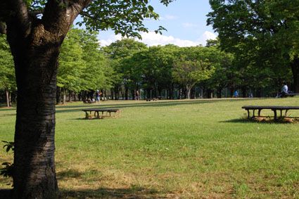 本日のおすすめ求人 求人タイムス山形 楽天ブログ