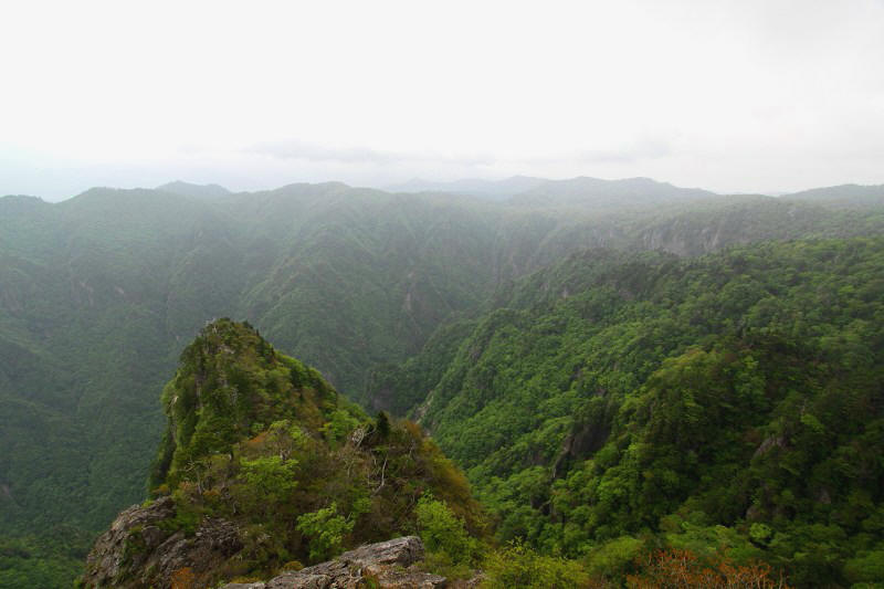 大台ケ原_7-3.jpg