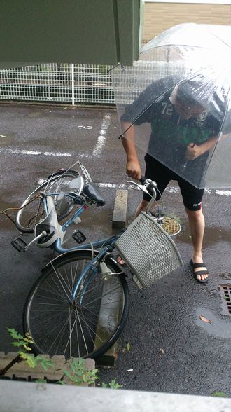 復旧作業するパンダさん