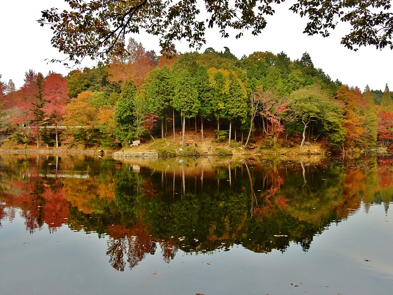 洞川湖20.JPG