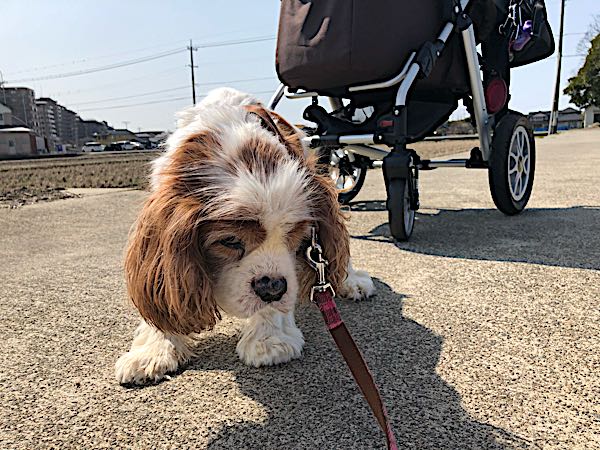 rblog-20180313133221-02.jpg