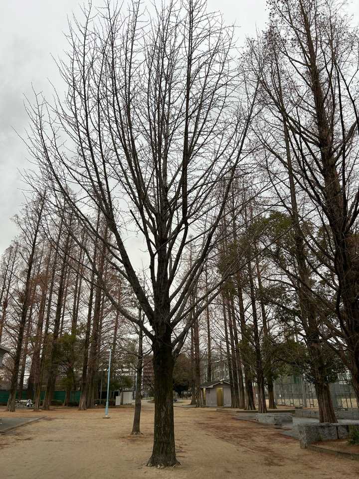 仲良しです | 今はいないテモとの日常会話 - 楽天ブログ