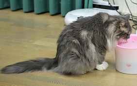 5DA_4731-11.jpg
