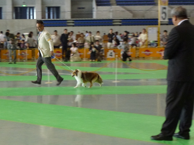 P1010225 - コピー.JPG