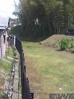 古河城堀跡２