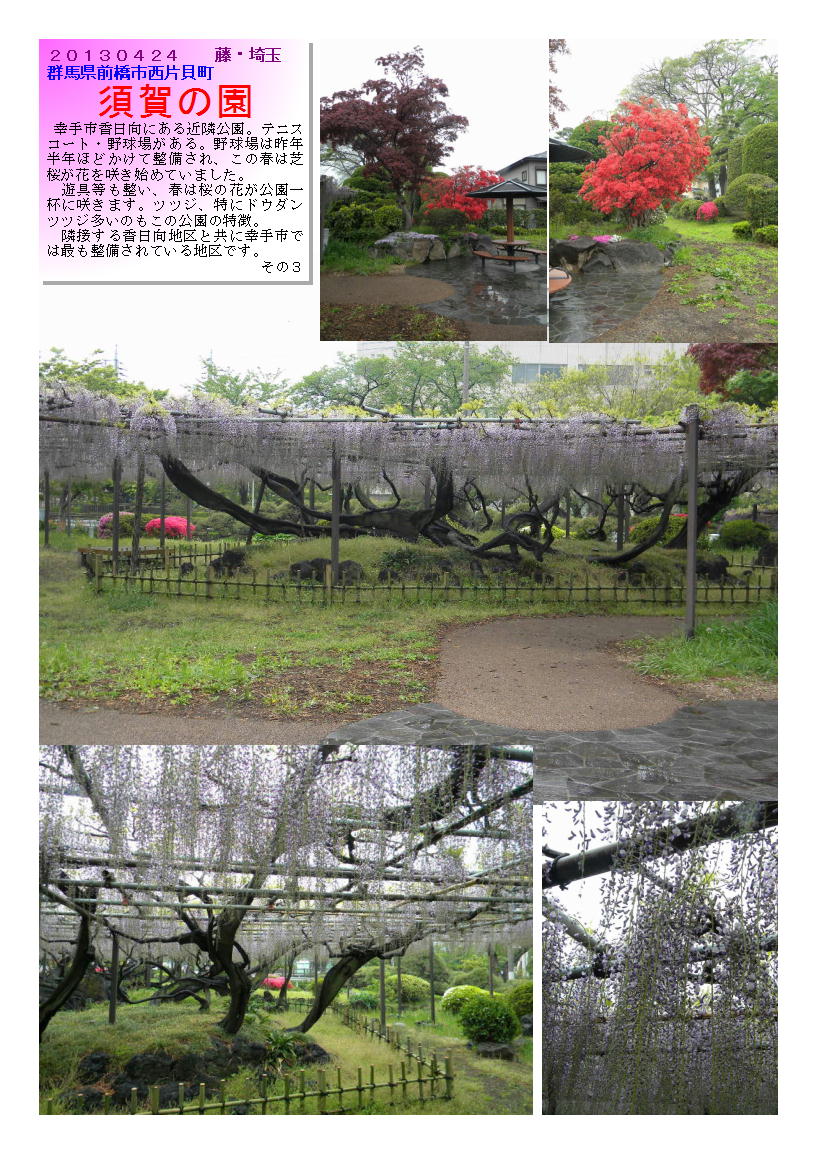 20130424suganosono3-fuzi.jpg