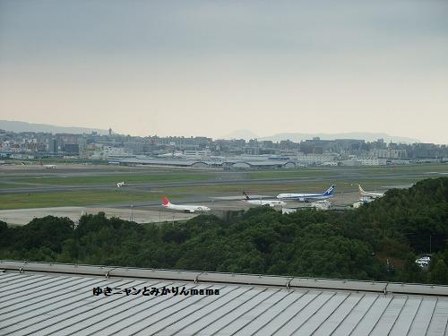 DSCF3033.jpg