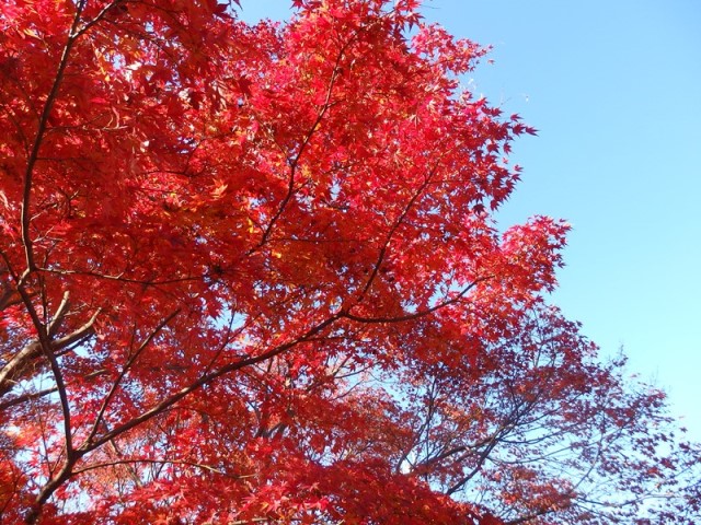 PC080085_8.jpg