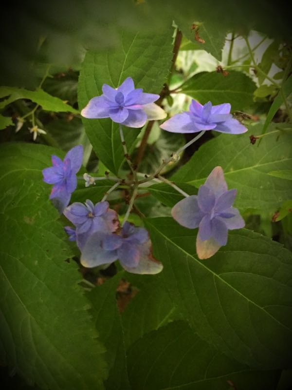 rblog-20160627210033-05.jpg