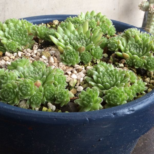 rblog-20140714082740-02.jpg